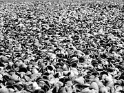 2005-01 NZL 0957-DPP16-V0